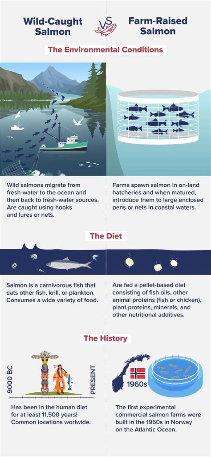 Where is the best farmed salmon from?