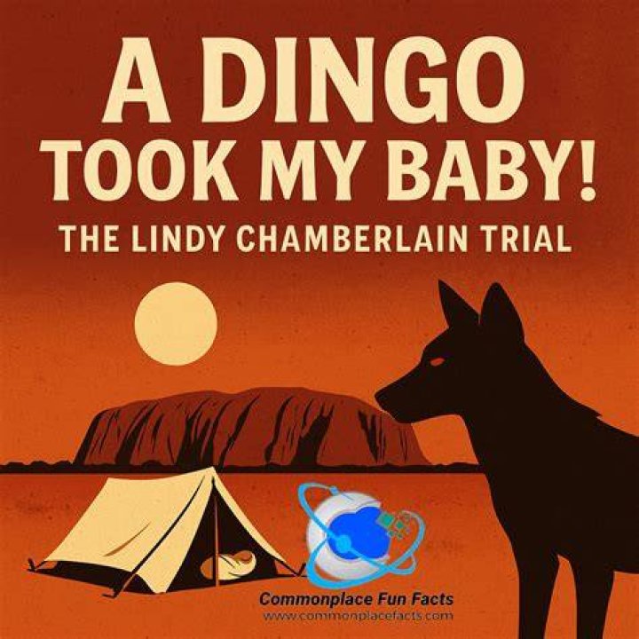 Where is the dingo ate your baby from?