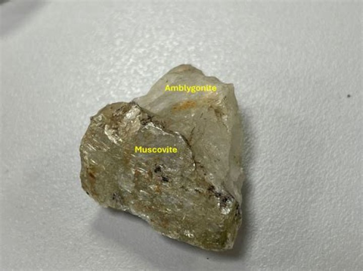Where to find amblygonite?