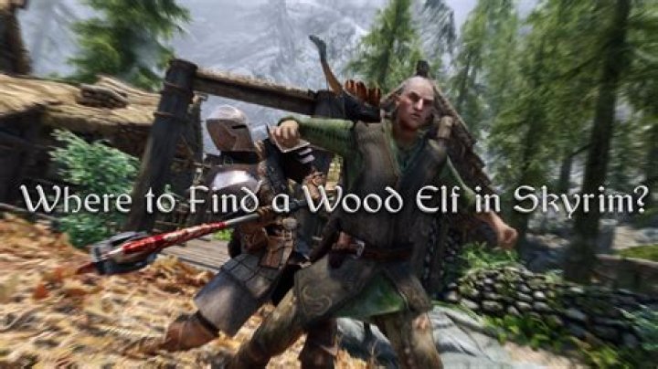 Where to find killable wood elves in skyrim?
