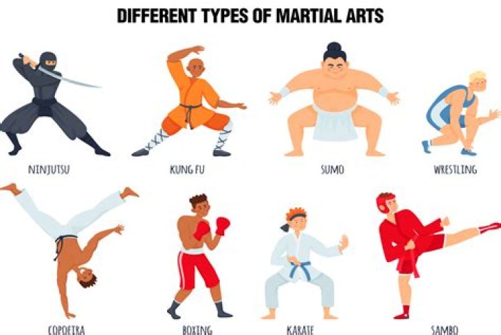 Which aikido style is the best?