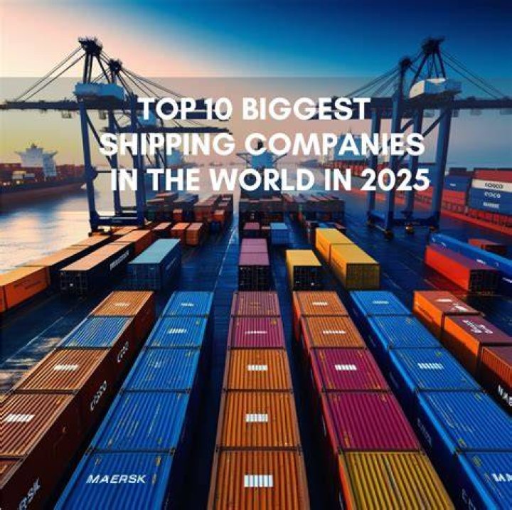 Which are the biggest shipping companies?