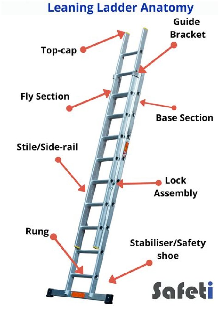 Which are the rungs of the ladder?