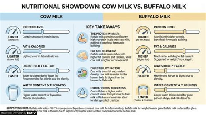 Which buffalo give more milk?