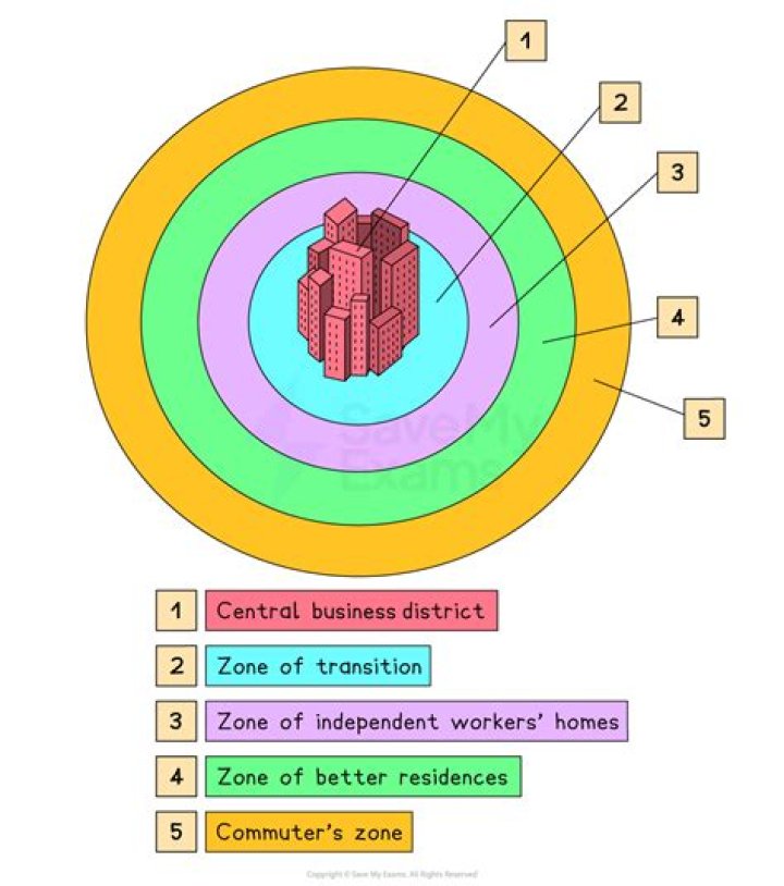 Which concentric zone was most associated with crime?