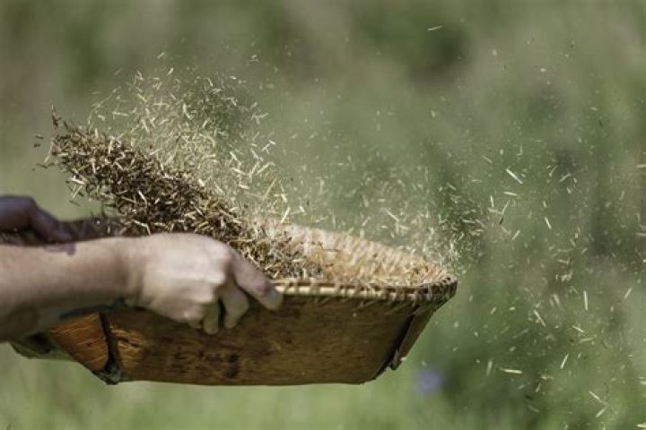 Which device is used for winnowing?