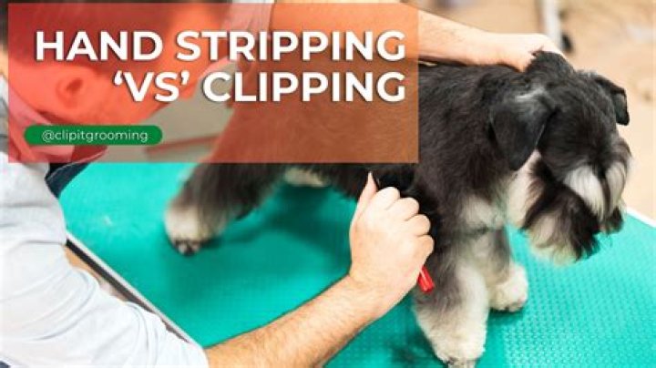 Which dogs need stripping?