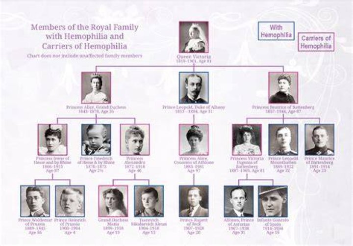 Which haemophilia is called royal haemophilia?