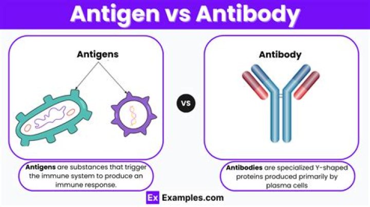 Which is a difference between antibodies and antigens?