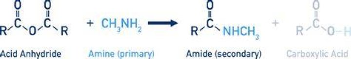 Which is correct amine or ammine?