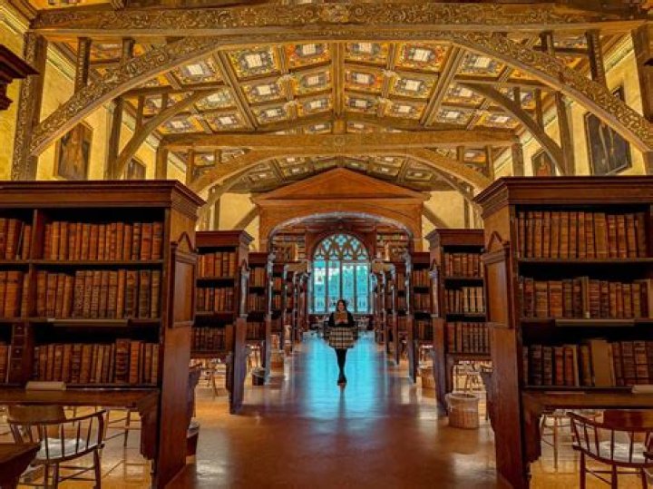 Which is library software?