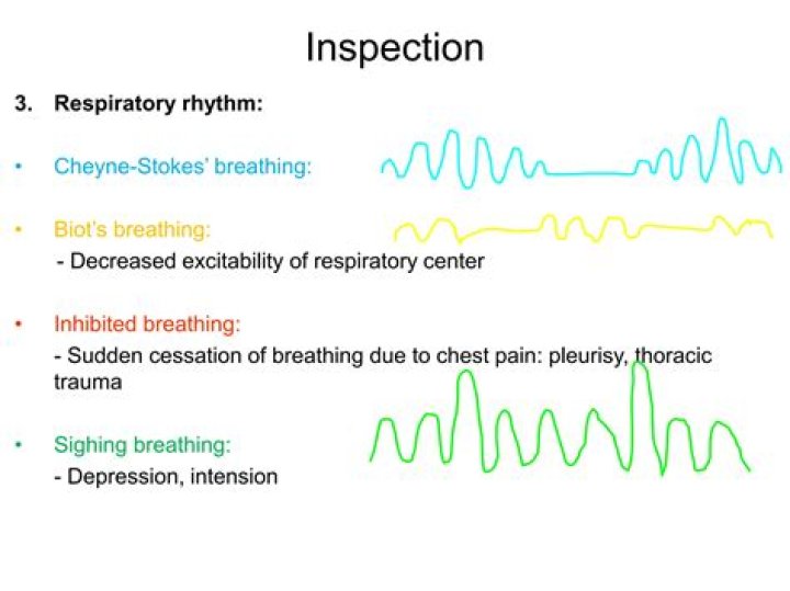 Which is respiratory rhythm?