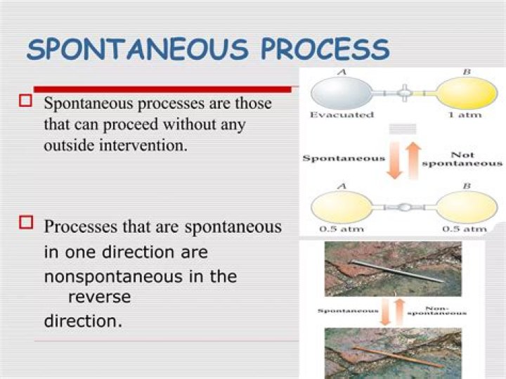Which is spontaneous in forward direction?