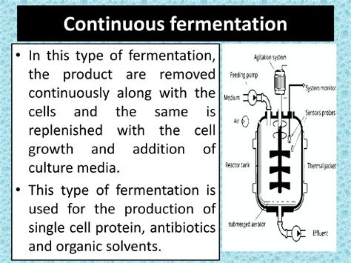 Which molecule is replenished by fermentation?