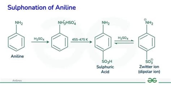 Which of the following can be sulphonated most easily?
