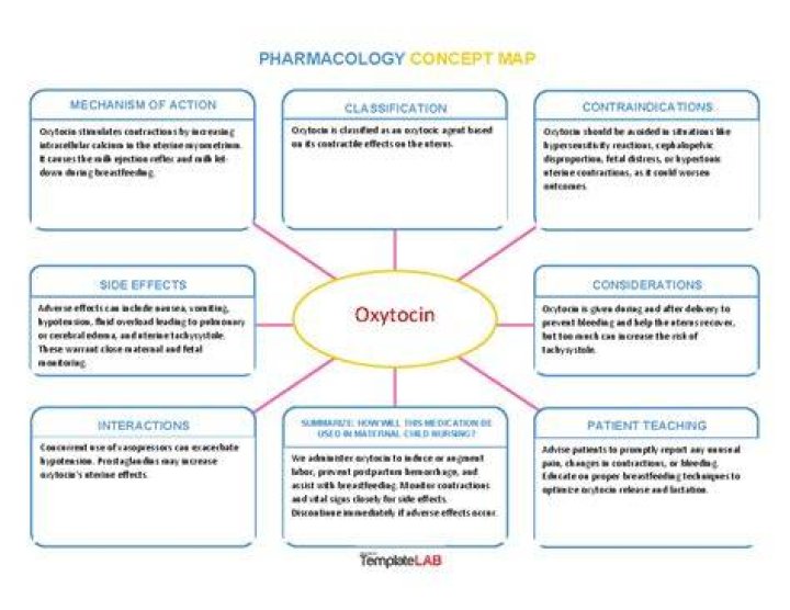 Which of the following drug shows oxytocic action?