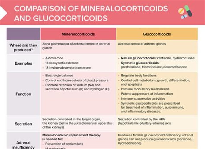 Which of the following is a mineralocorticoid?