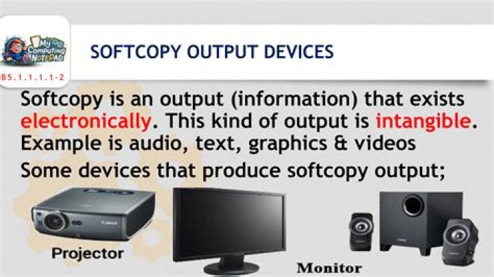 Which of the following is a softcopy and hardcopy?