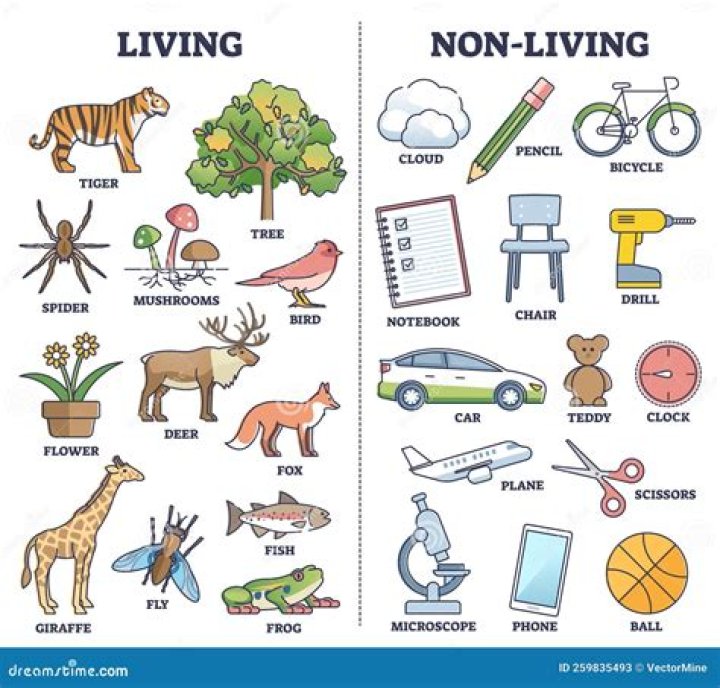 Which organisms are interlinked between living and nonliving?