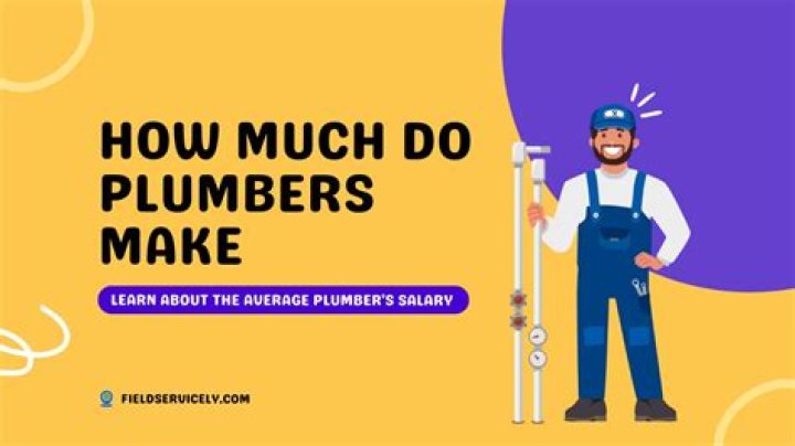 Which plumbers make the most money?