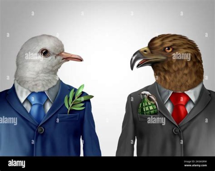 Which politician was a war hawk and what did this mean?