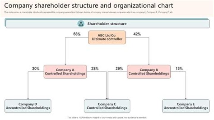 Which shareholders control a corporation?