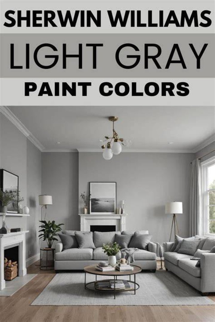 Which sherwin williams gray is best?