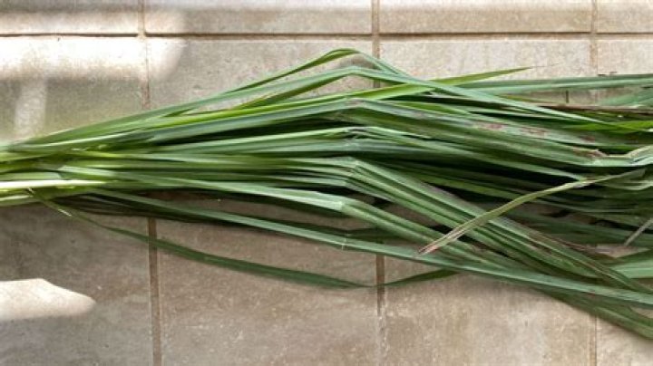 Which supermarkets sell lemongrass?
