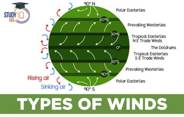 Which winds are found primarily in the tropics?
