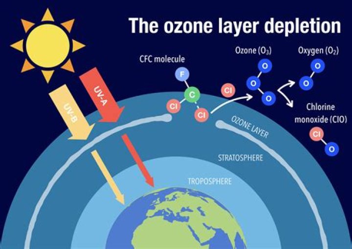 Who contains the ozone layer?