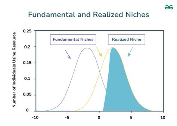 Who discovered realized niche?
