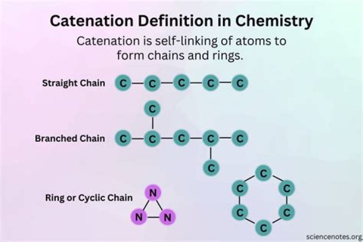 Who does not show catenation?