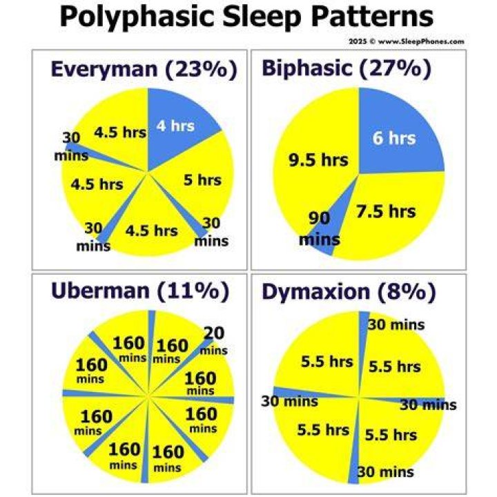 Who does polyphasic sleep?