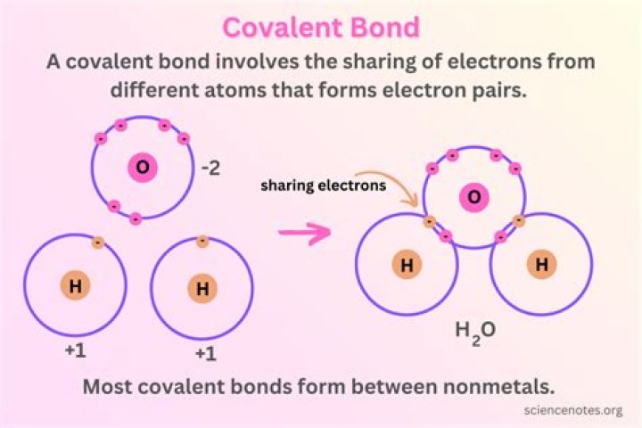 Who introduced the directional nature of covalent bond?