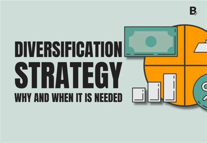 Who invented diversification strategy?