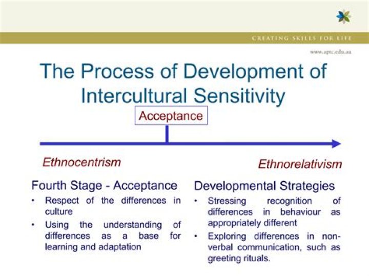 Who invented intercultural sensitivity?