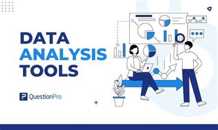 Who is a data analysis?