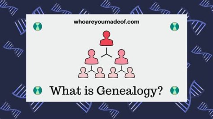Who is a genetic genealogy?