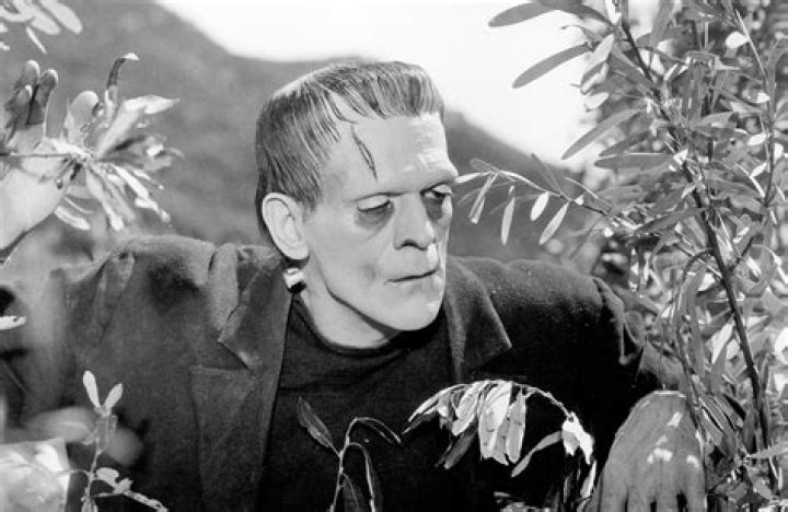 Who is alphonse frankenstein?