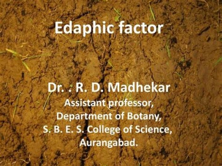 Who is edaphic factor?