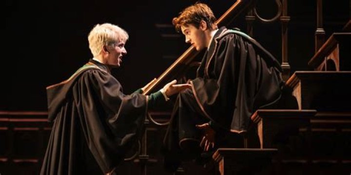 Who is the cursed child in harry potter?
