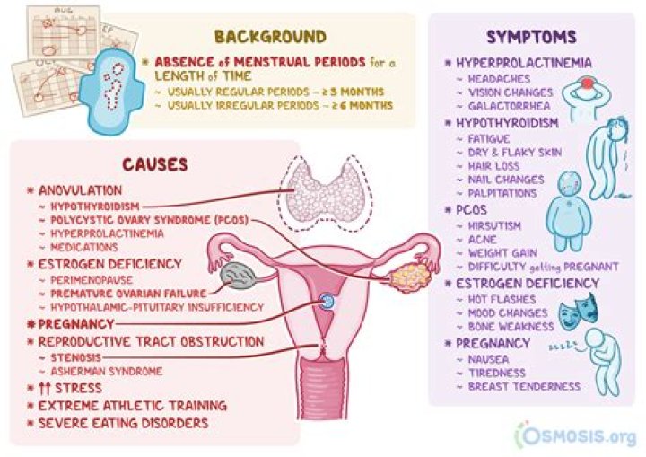 Who lactational amenorrhea method?