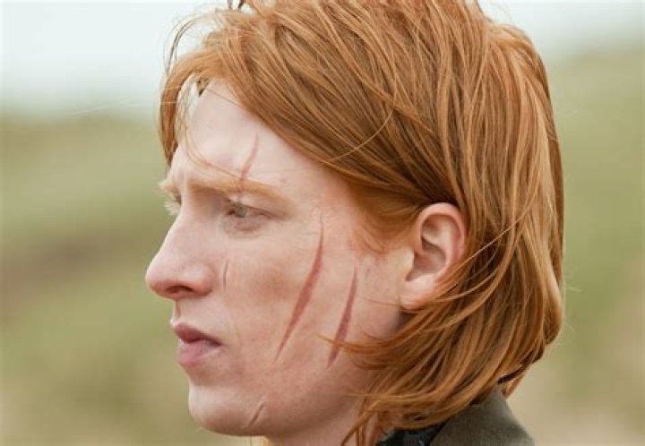 Who maimed bill weasley?