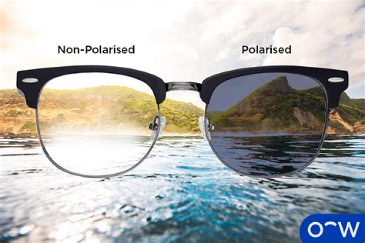 Who makes polarized sunglasses?
