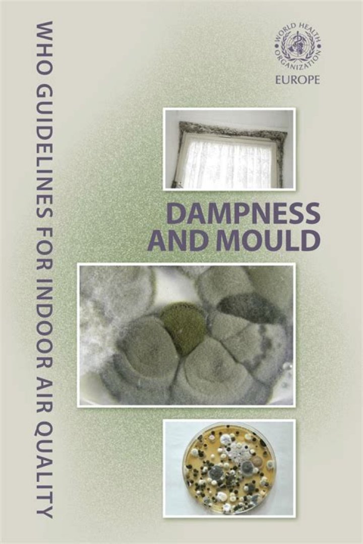Who mould and dampness?