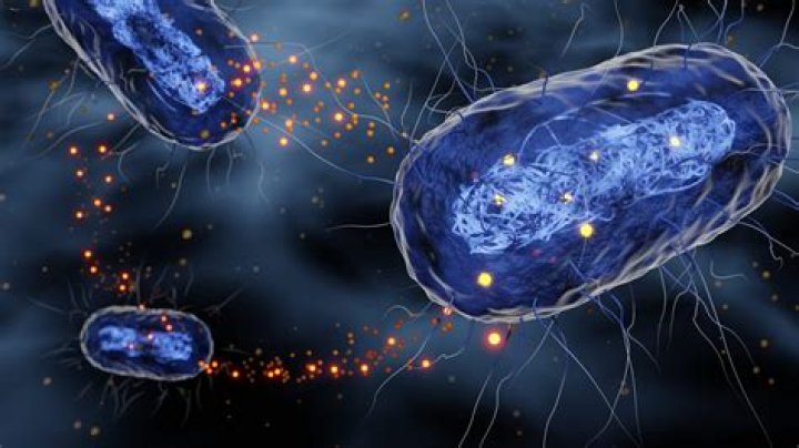 Who multidrug resistant bacteria?