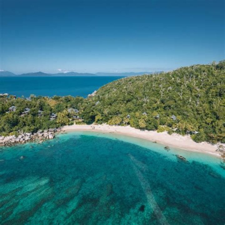 Who owns bedarra island resort?