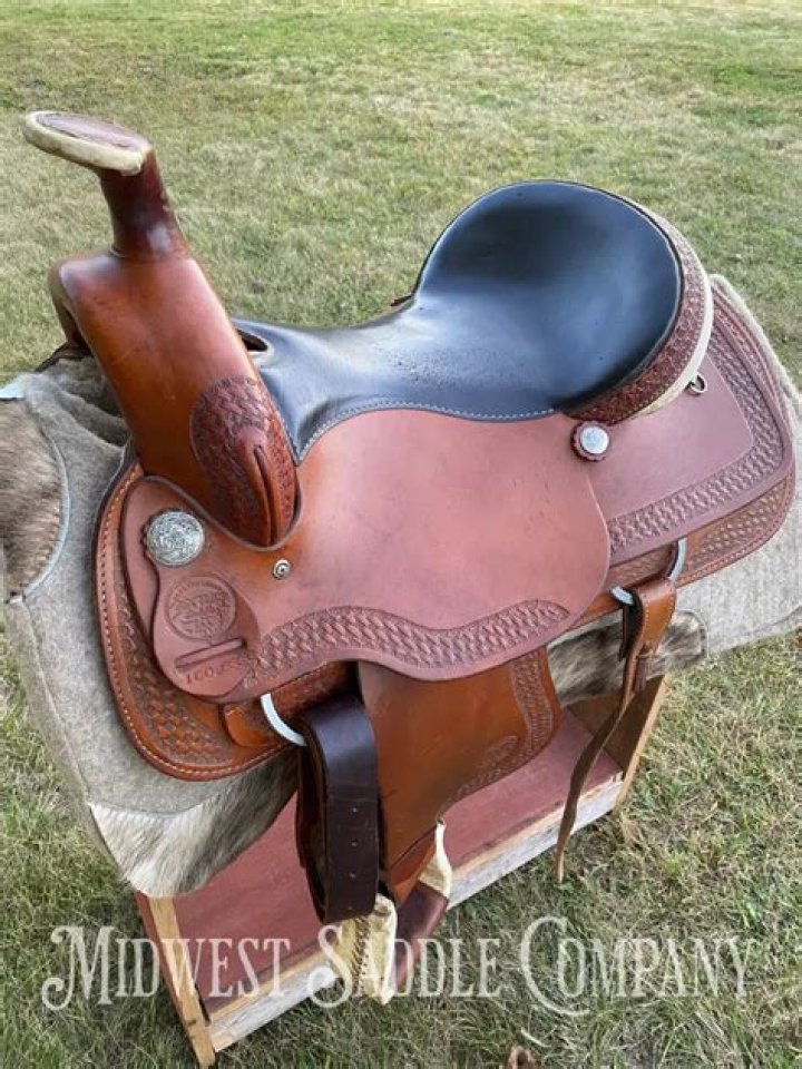 Who owns colorado saddlery?