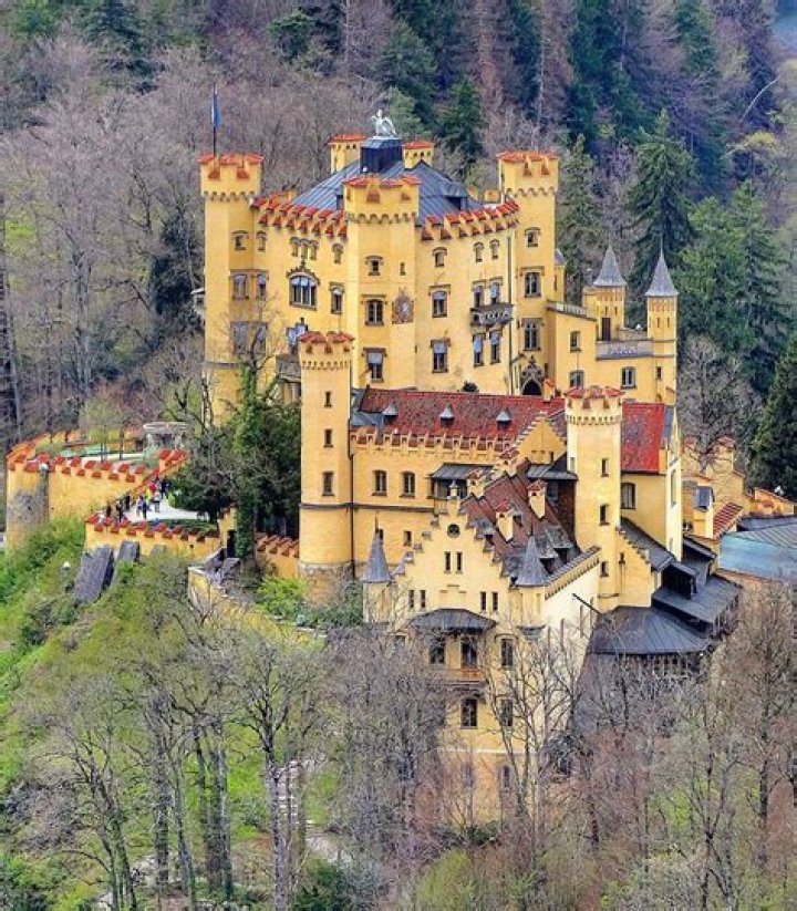 Who owns hohenschwangau castle?