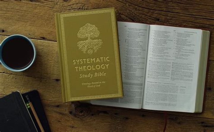 Who wrote rooted bible study?
